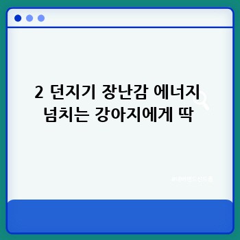 2 던지기 장난감 에너지 넘치는 강아지에게 딱