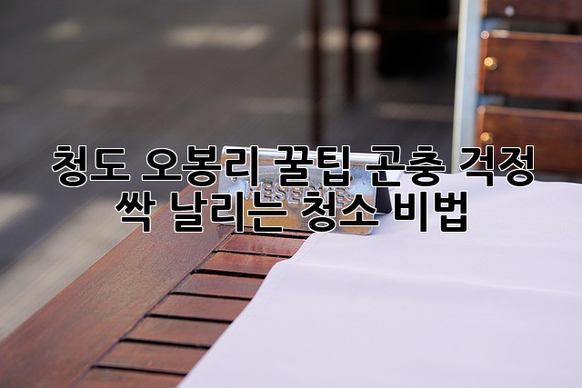 🏡✨ 청도 오봉리 꿀팁! 곤충 걱정 싹 날리는 청소 비법 🐝🚫