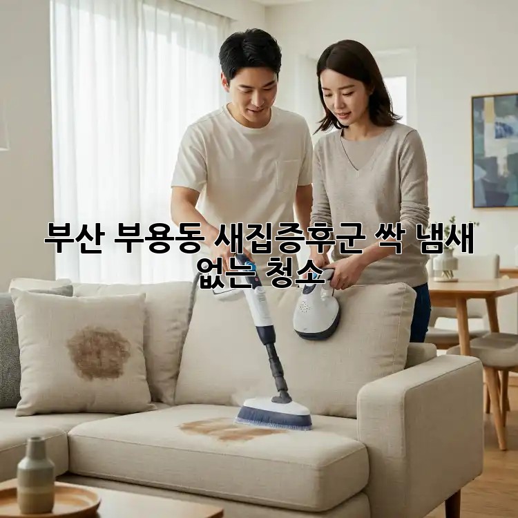 부산 부용동 새집증후군 싹! 냄새 없는 청소 ✨