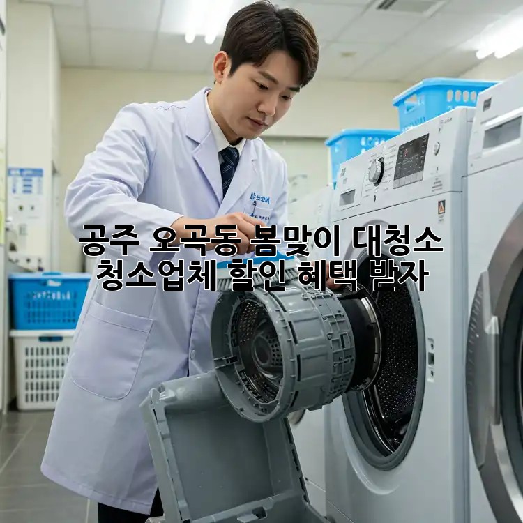 공주 오곡동 봄맞이 대청소! 청소업체 할인 혜택 받자!