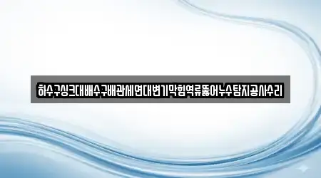 하수구싱크대배수구배관세면대변기막힘역류뚫어누수탐지공사수리