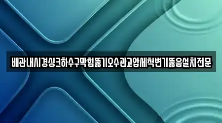 배관내시경싱크하수구막힘뚫기오수관고압세척변기뚫음설치전문