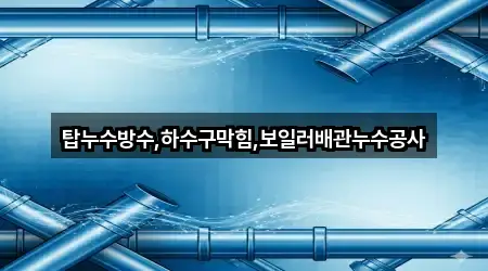 포항시 송도동 누수 공사 5곳 — 빠른 확인