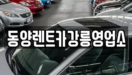 강원 강릉시 성산면 렌트카 전문 동양렌트카강릉영업소