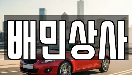 강원 강릉시 성산면 중고차 전문 배민상사