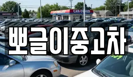강원 강릉시 성산면 중고차 전문 뽀글이중고차