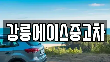 강원 강릉시 지변동 중고차 전문 강릉에이스중고차