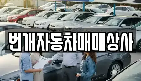 강원 강릉시 지변동 중고차 전문 번개자동차매매상사