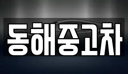 강원 동해시 내동 중고차 전문 동해중고차