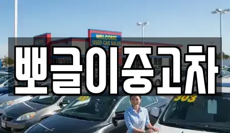 강원 동해시 내동 중고차 전문 뽀글이중고차