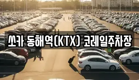 강원 동해시 용정동 렌트카 전문 쏘카 동해역(KTX) 코레일주차장