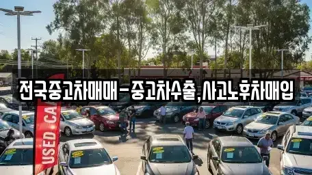 강원 동해시 용정동 중고차매입 전문 전국중고차매매-중고차수출,사고노후차매입