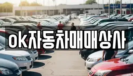 강원 동해시 이도동 중고차 전문 ok자동차매매상사