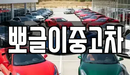 강원 동해시 이도동 중고차 전문 뽀글이중고차