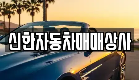 강원 동해시 이도동 중고차 전문 신한자동차매매상사