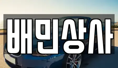 강원 삼척시 성남동 중고차 전문 배민상사