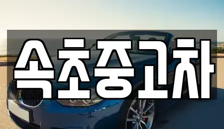 강원 속초시 설악동 중고차매매 전문 속초중고차
