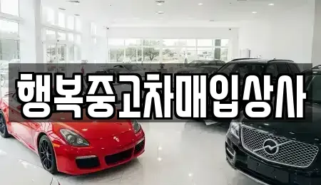 강원 속초시 설악동 중고차매입 전문 행복중고차매입상사