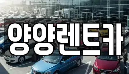강원 양양군 렌트카 전문 양양렌트카