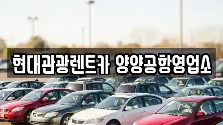 강원 양양군 렌트카 전문 현대관광렌트카 양양공항영업소