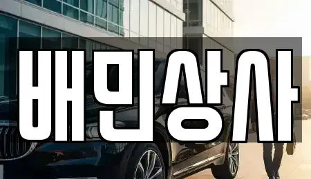 강원 양양군 중고차 전문 배민상사