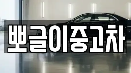 강원 양양군 중고차 전문 뽀글이중고차
