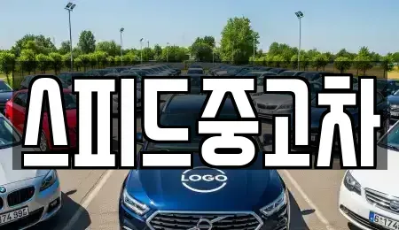 강원 양양군 중고차,렌트카,중고차매입,중고차매매,장기렌트카,단기렌트카