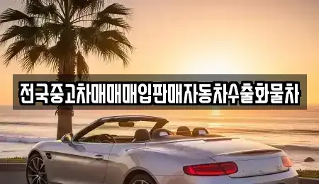 강원 양양군 중고차 전문 전국중고차매매매입판매자동차수출화물차