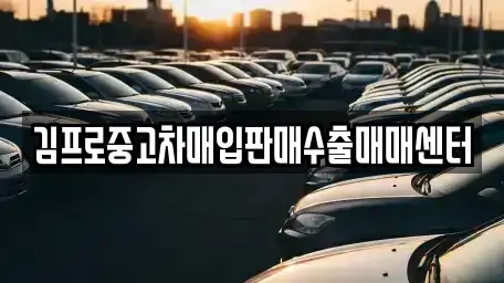 강원 양양군 중고차매입 전문 김프로중고차매입판매수출매매센터