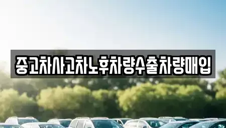 강원 철원군 갈말읍 중고차매입 전문 중고차사고차노후차량수출차량매입