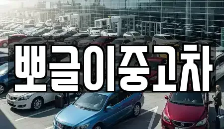 강원 태백시 장성동 중고차 전문 뽀글이중고차