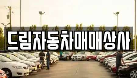 강원 홍천군 홍천읍 중고차 전문 드림자동차매매상사
