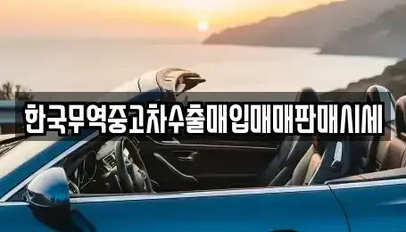 강원 홍천군 홍천읍 중고차매입 전문 한국무역중고차수출매입매매판매시세