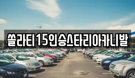 강원 화천군 하남면 렌트카 전문 쏠라티15인승스타리아카니발
