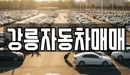 강원특별자치도 강릉시 명주동 중고차 전문 강릉자동차매매