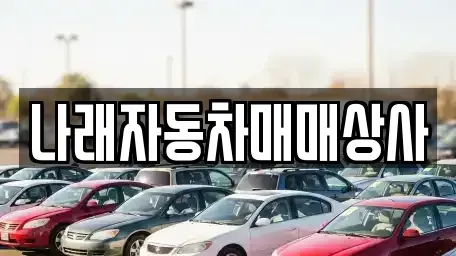 강원특별자치도 강릉시 병산동 중고차 전문 나래자동차매매상사