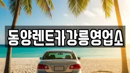 강원특별자치도 강릉시 성산면 렌트카 전문 동양렌트카강릉영업소