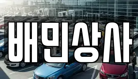강원특별자치도 강릉시 성산면 중고차 전문 배민상사
