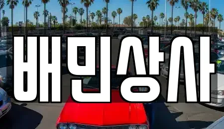 강원특별자치도 삼척시 성북동 중고차 전문 배민상사