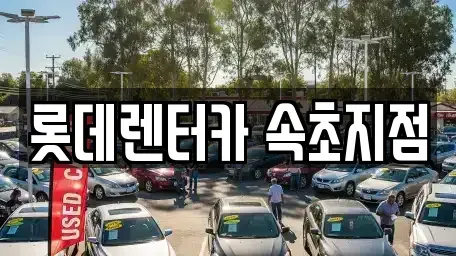 강원특별자치도 속초시 설악동 렌트카 전문 롯데렌터카 속초지점