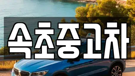강원특별자치도 속초시 설악동 중고차,렌트카,중고차매입,중고차매매,장기렌트카,단기렌트카