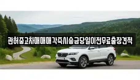 강원특별자치도 원주시 인동 중고차매매 전문 관허중고차매매매각즉시송금당일이전무료출장견적