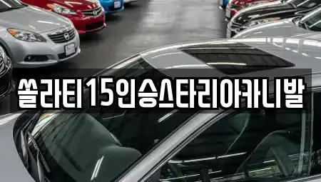 강원특별자치도 춘천시 신동 렌트카 전문 쏠라티15인승스타리아카니발