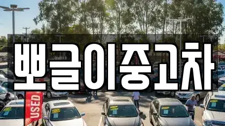 강원특별자치도 태백시 금천동 중고차 전문 뽀글이중고차