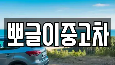 강원특별자치도 태백시 금천동 중고차매매 전문 뽀글이중고차