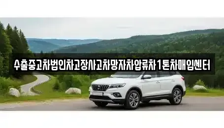 강원특별자치도 태백시 적각동 중고차 전문 수출중고차법인차고장사고차망자차압류차1톤차매입센터