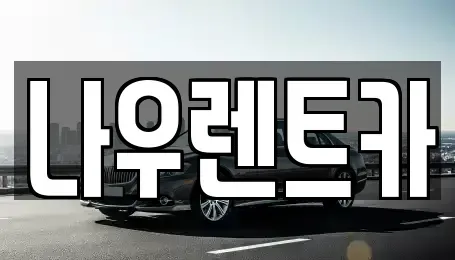 강원특별자치도 평창군 대화면 렌트카 전문 나우렌트카