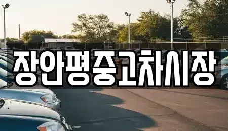 경기 광주시 회덕동 중고차 전문 장안평중고차시장