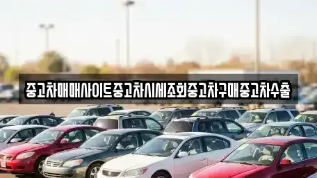 경기 광주시 회덕동 장기렌트카,중고차,렌트카,단기렌트카,중고차매입,중고차매매
