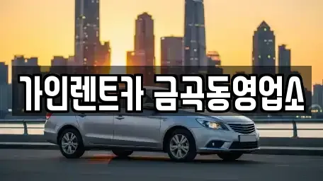 경기 남양주시 금곡동 렌트카 전문 가인렌트카 금곡동영업소
